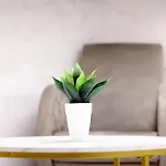 Dina House 나자레