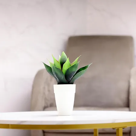 Dina House 纳扎雷